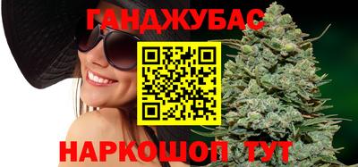 индика Аргун
