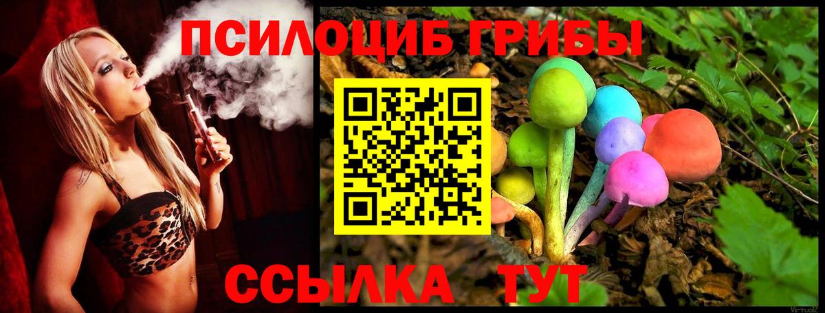 Псилоцибиновые грибы MAGIC MUSHROOMS Выборг